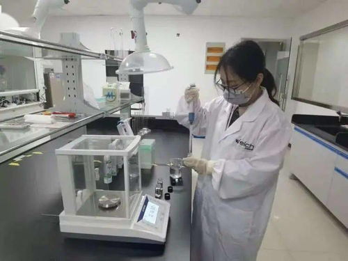 月旭科技新型银离子消毒液 高效广谱守护健康，创新引领行业新风尚——写在第12次信息技术咨询活动落幕之际